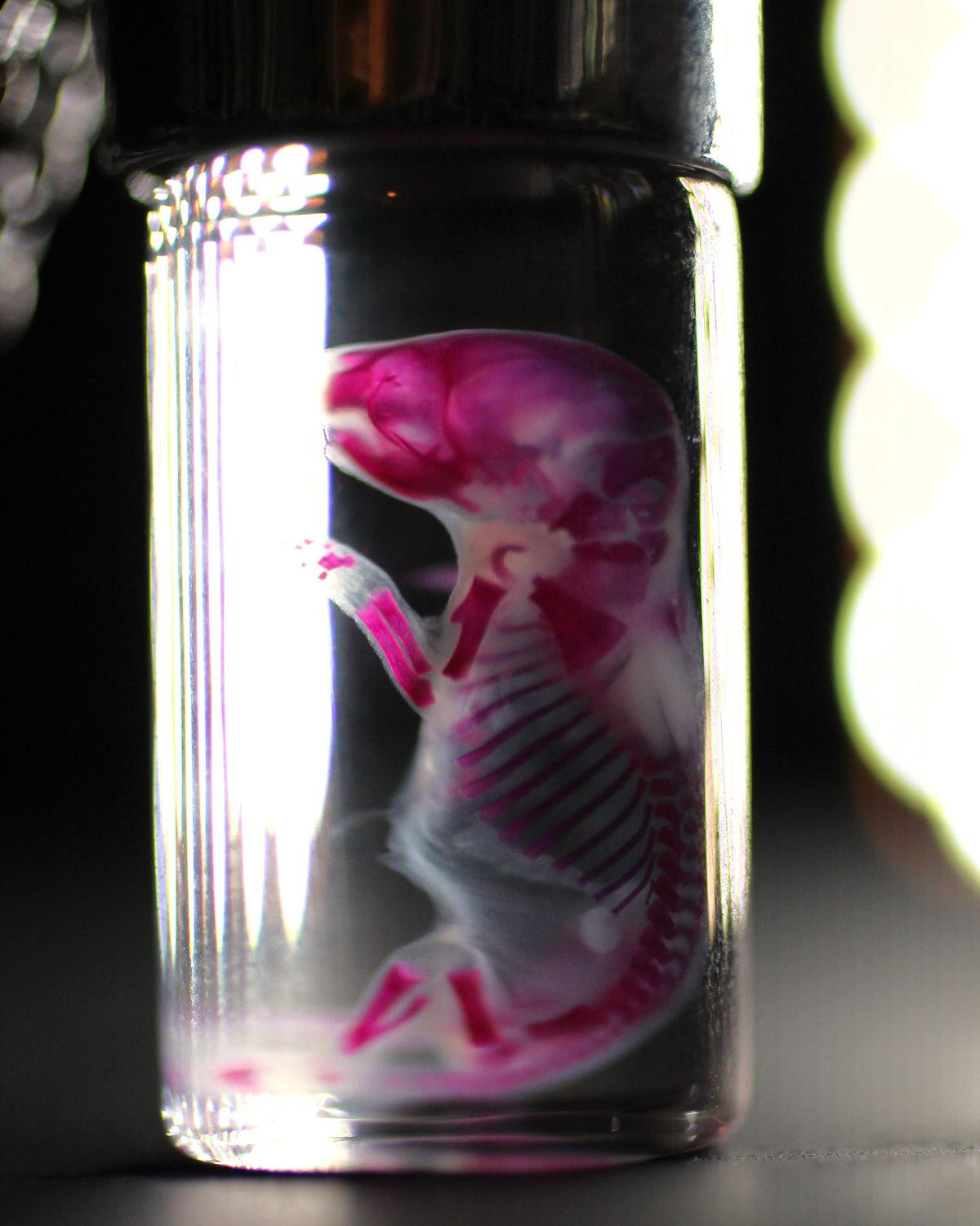 Diaphonized Pinkie Mouse Necklace