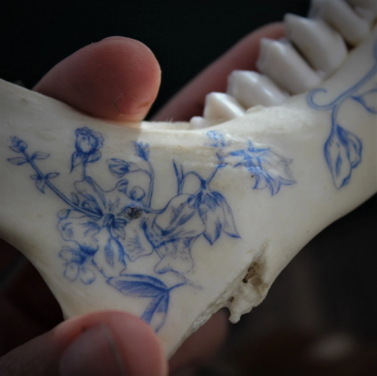 Blue Floral Deer Jawbones