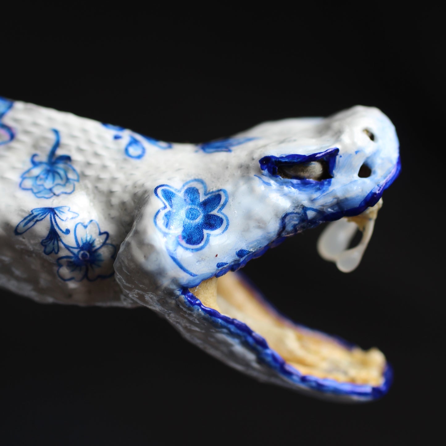 Porcelain Predator