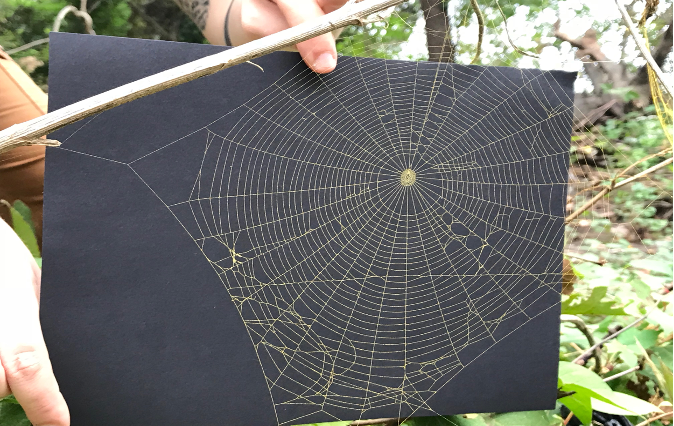 Preserved Spider Web Necklaces