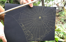 Load image into Gallery viewer, Preserved Spider Web Necklaces
