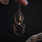 Bumblebee Jasper Orb Weaver