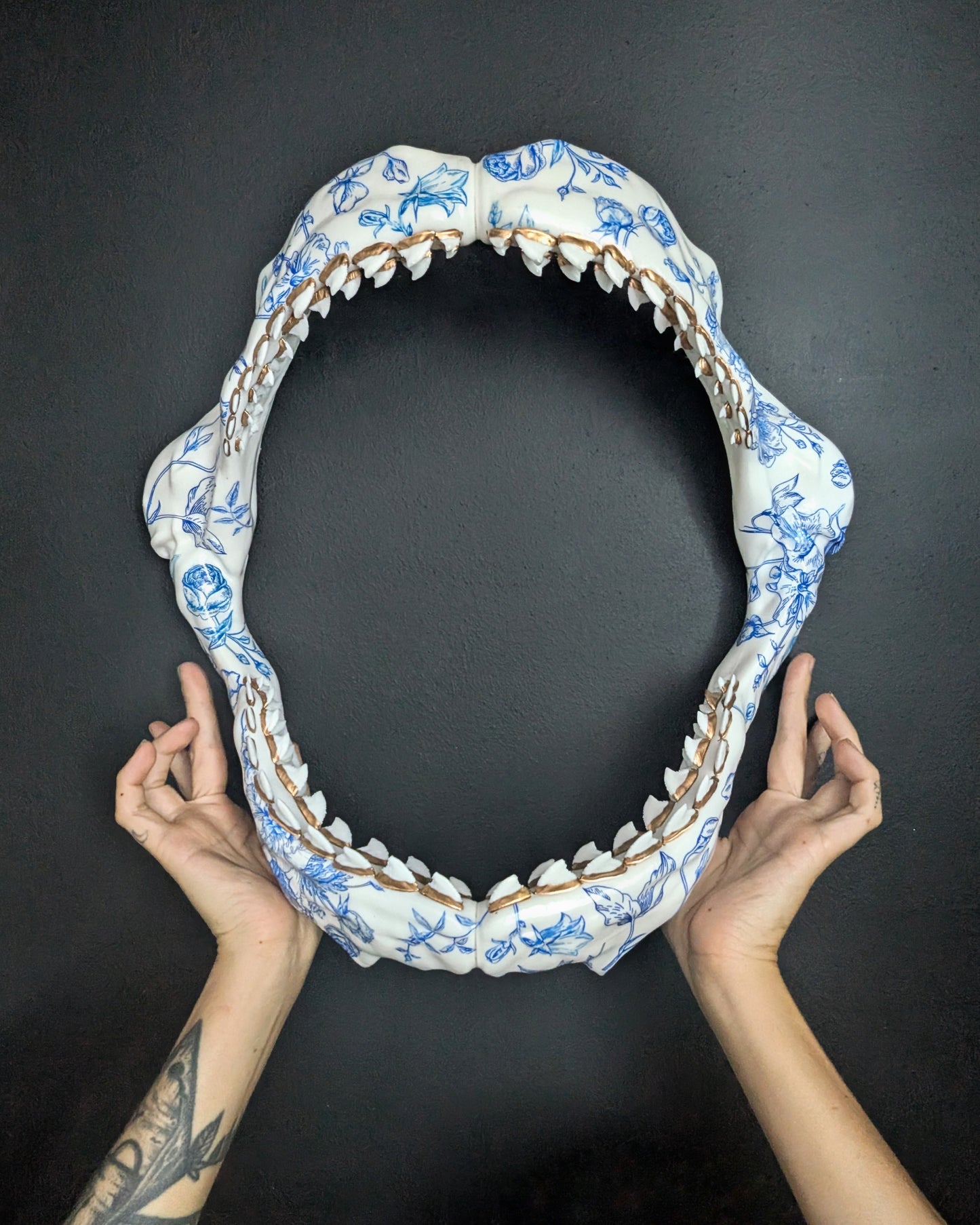 Tiger Shark Jaw Pre-Order