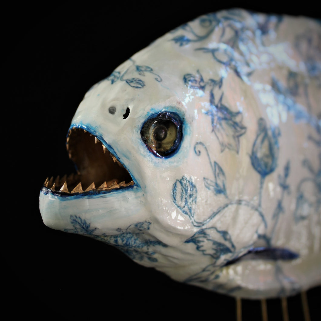Delft Piranha