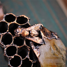 Load image into Gallery viewer, Honey Bee &amp; Wasp Nest
