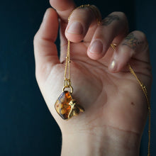 Load image into Gallery viewer, Amber Honeybee in Gold
