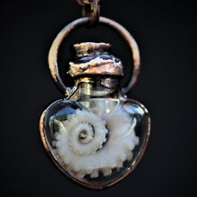 Load image into Gallery viewer, Octopus Tentacle Heart Vials
