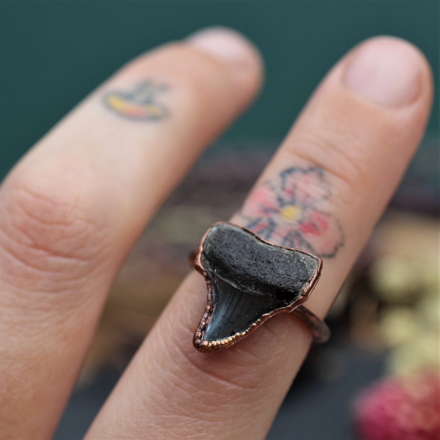 Shark Tooth Rings