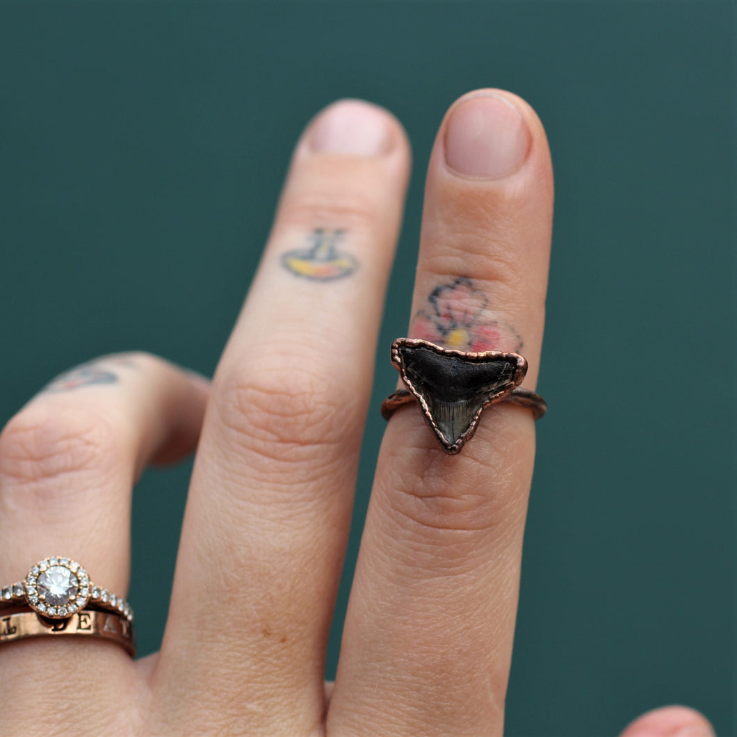 Shark Tooth Rings
