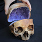 Crystallized Real Skull