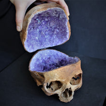 Load image into Gallery viewer, Crystallized Real Skull
