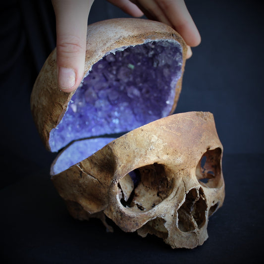 Crystallized Real Skull