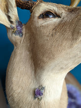 Load image into Gallery viewer, Geodeer No.5
