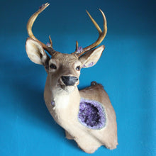 Load image into Gallery viewer, Geodeer No.5
