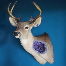 Load image into Gallery viewer, Geodeer No.5

